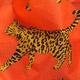 Load image into Gallery viewer, Baby Baggu - Bengal Cat
